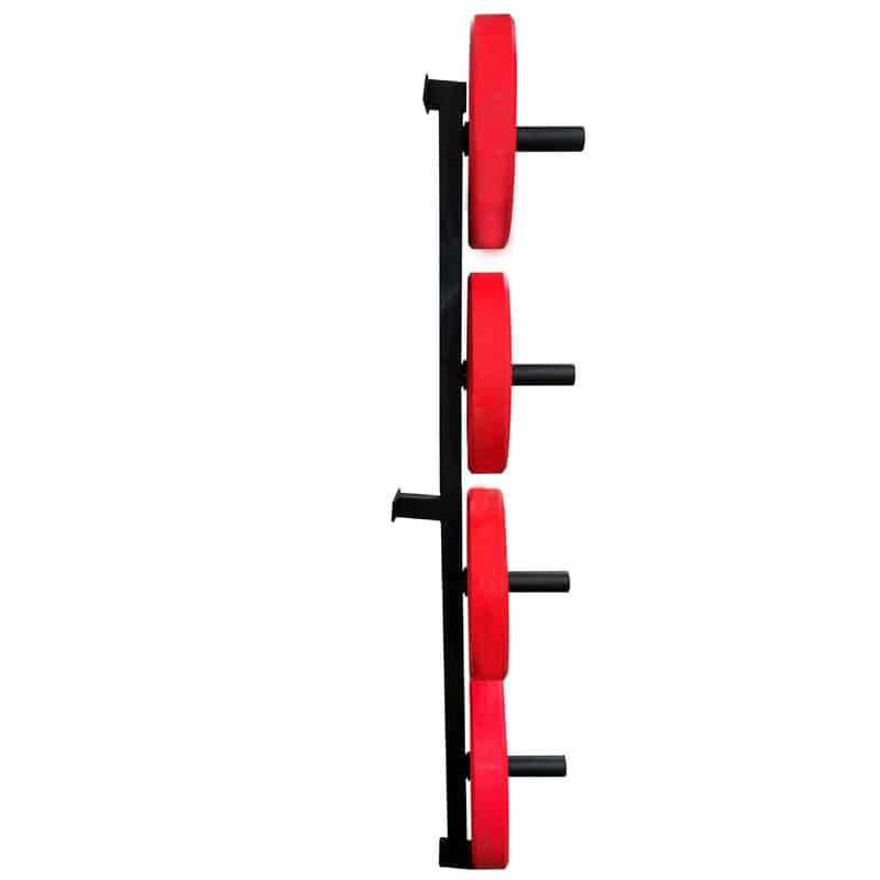 Wall Mounted 4-Peg Weight Rack