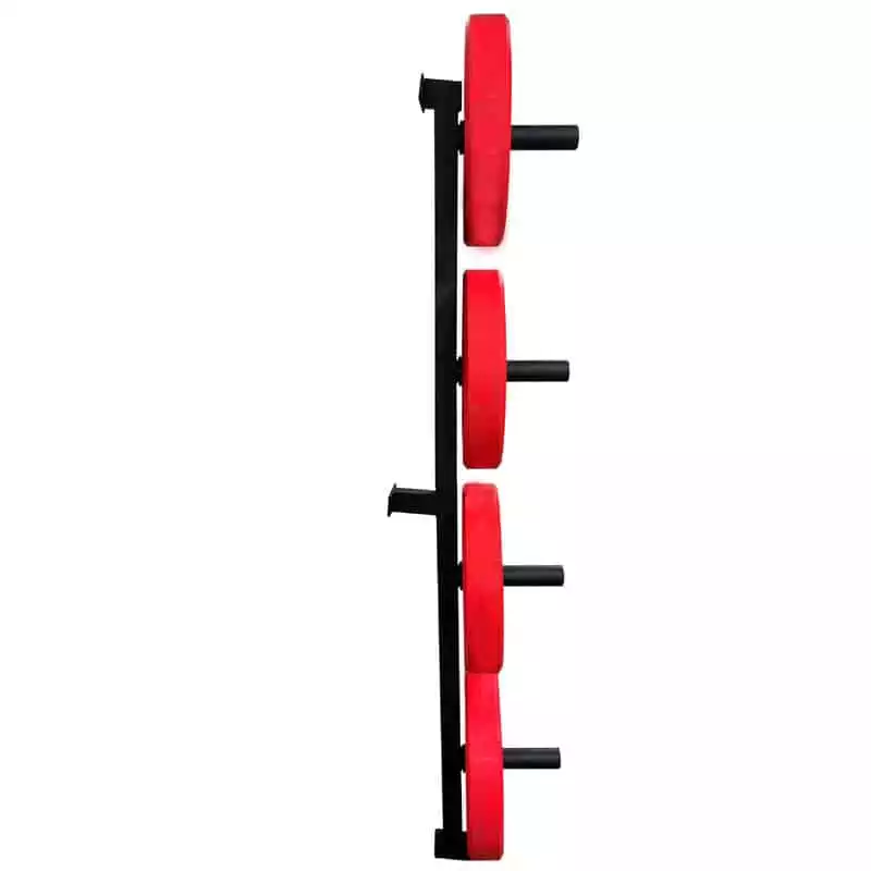 Titan Wall Mounted Weight Rack