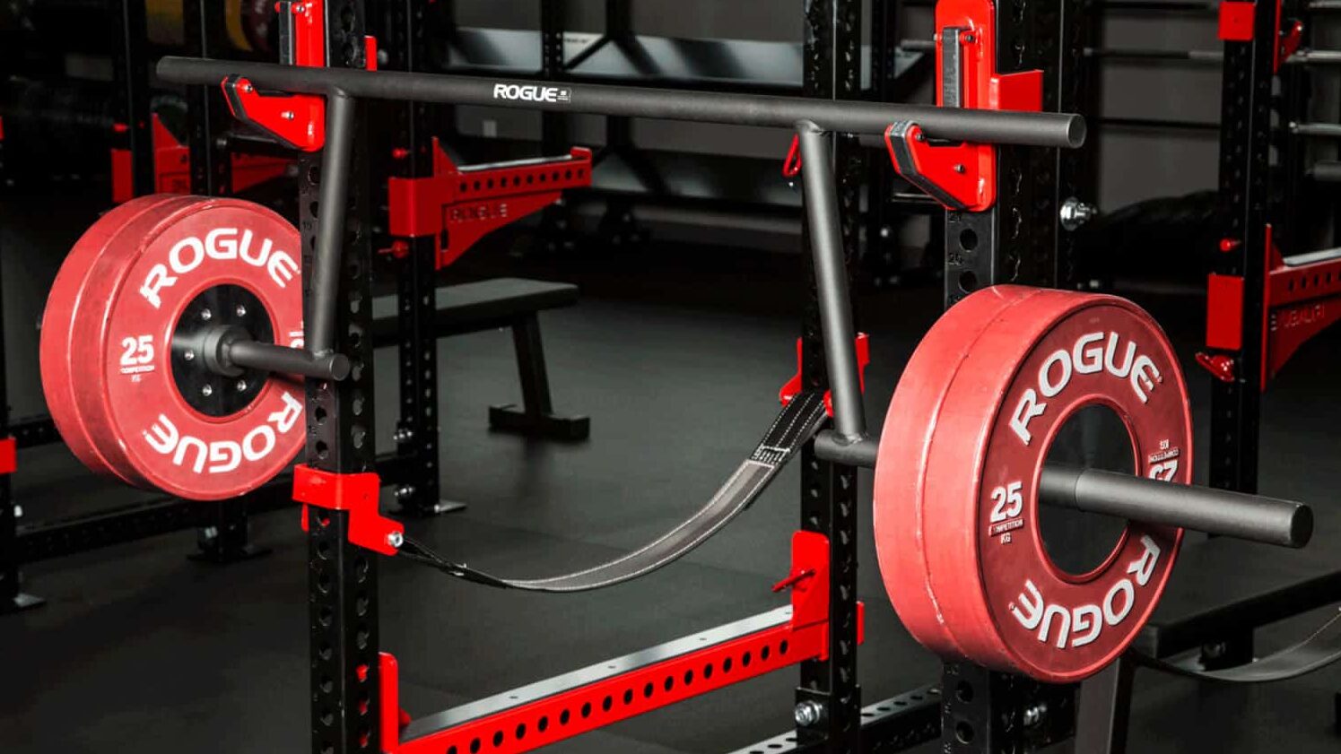 rogue cambered squat bar