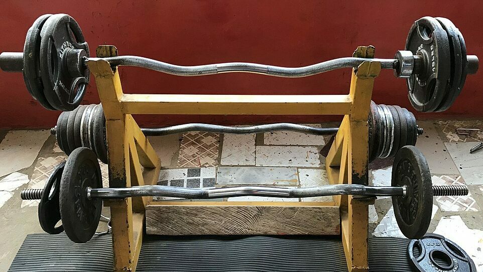 different curl bars on a curl bar rack
