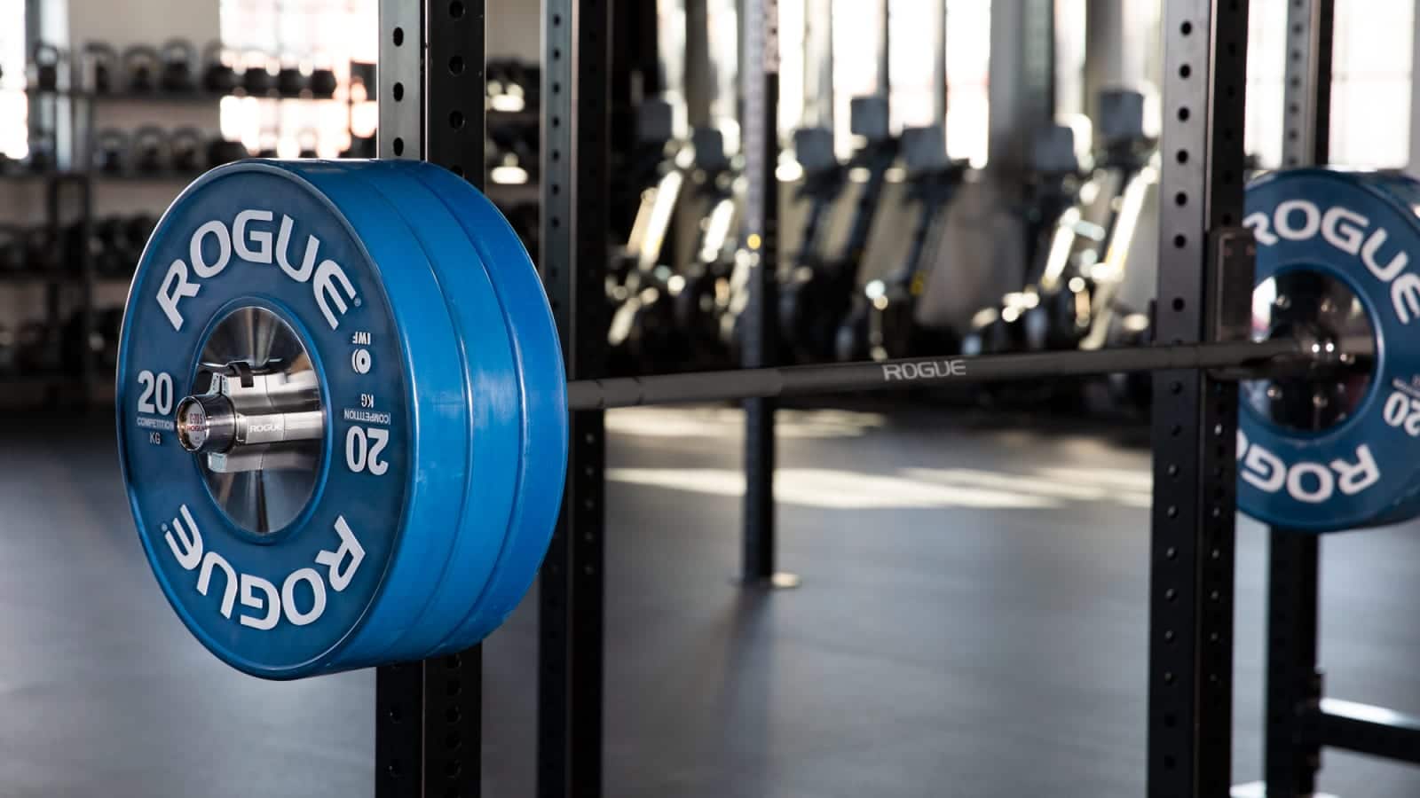 rogue shorty barbell in squat rack