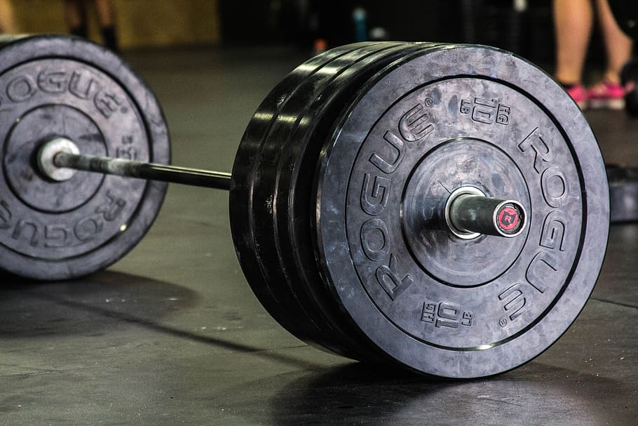 rogue bumper plates on barbell