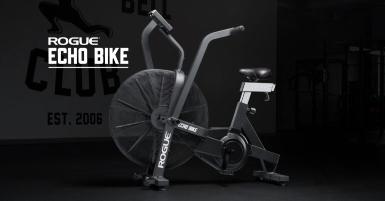 Rogue Echo Bike